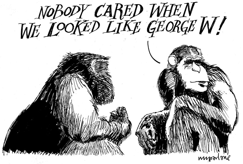 Chimps