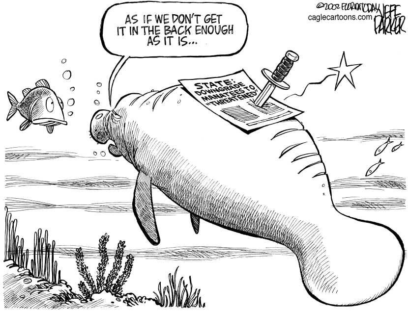 LOCAL FL Manatees Back stabbed