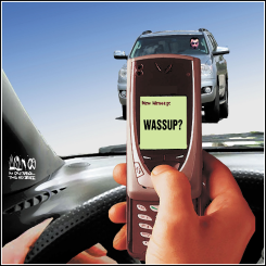 DANGEROUS DRIVER by Terry Mosher