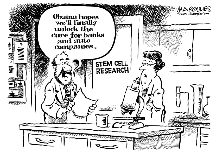 Stem cell research
