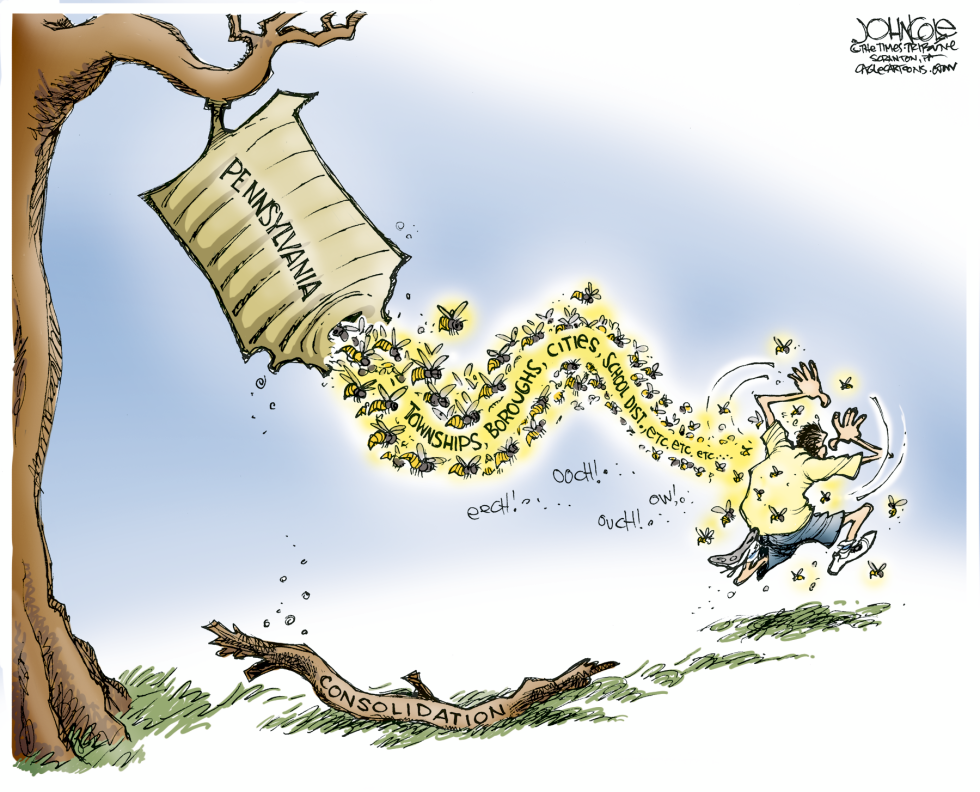 LOCAL PA -- Consolidating local government
