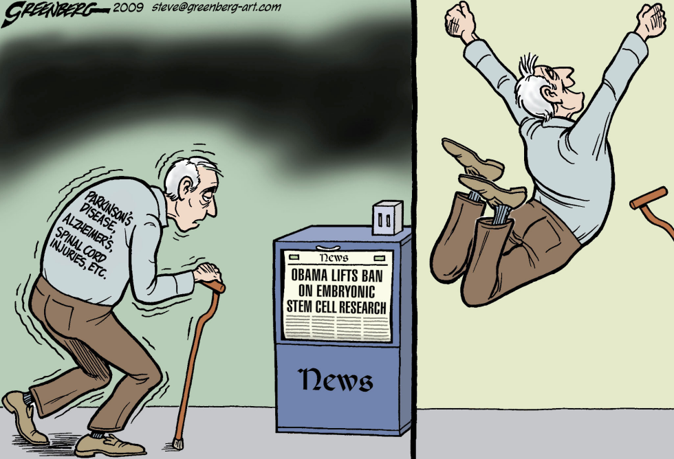 Stem cell jump