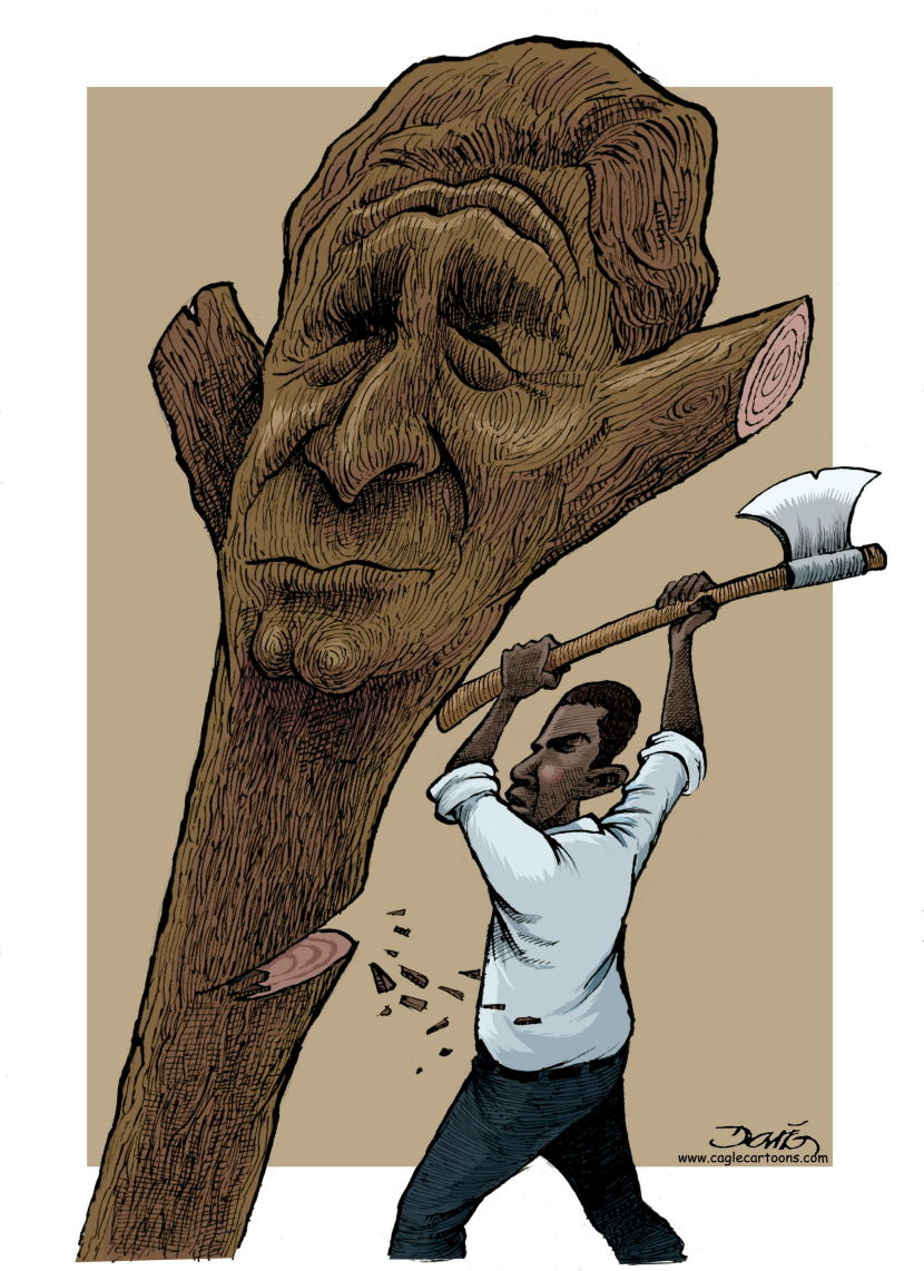 Chop off the past / COLOR