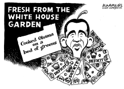 FRESH FROM THE WHITE HOUSE GARDEN by Jimmy Margulies