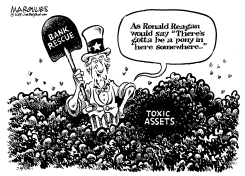 CLEANING UP BANK TOXIC ASSETS by Jimmy Margulies