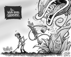 THE OBAMA GARDENS BW by John Cole