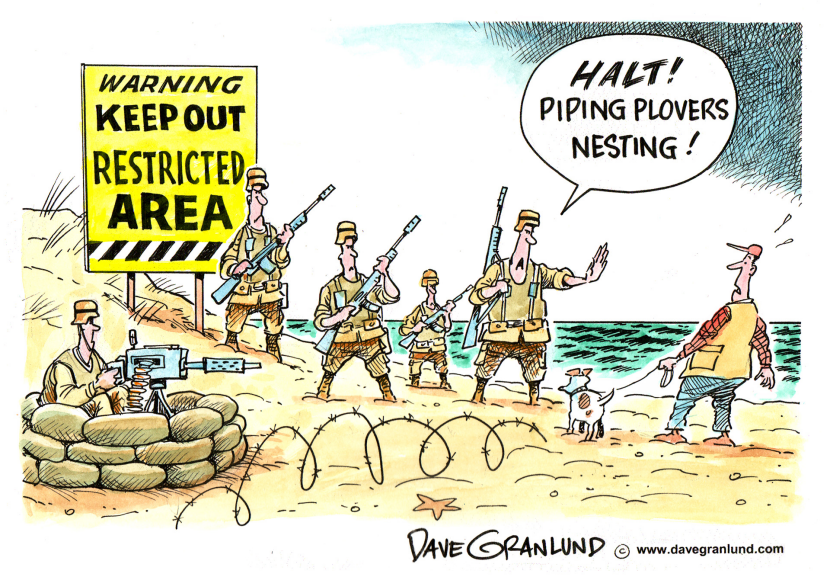 Endangered Species Protection