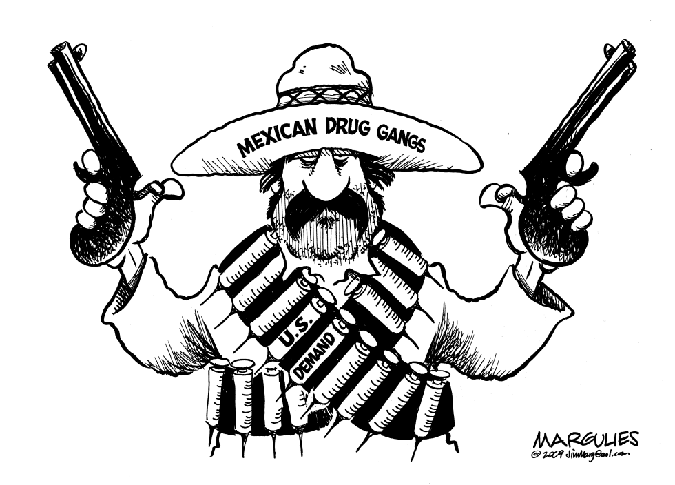 Mexican Drug Gangs