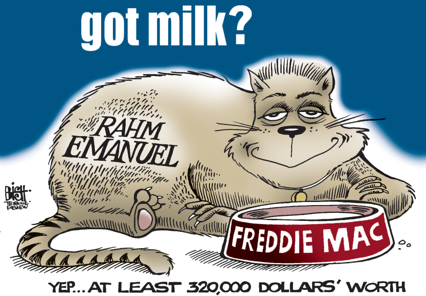 FAT CAT RAHM, COLOR