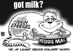 FAT CAT RAHM, B/W by Randy Bish