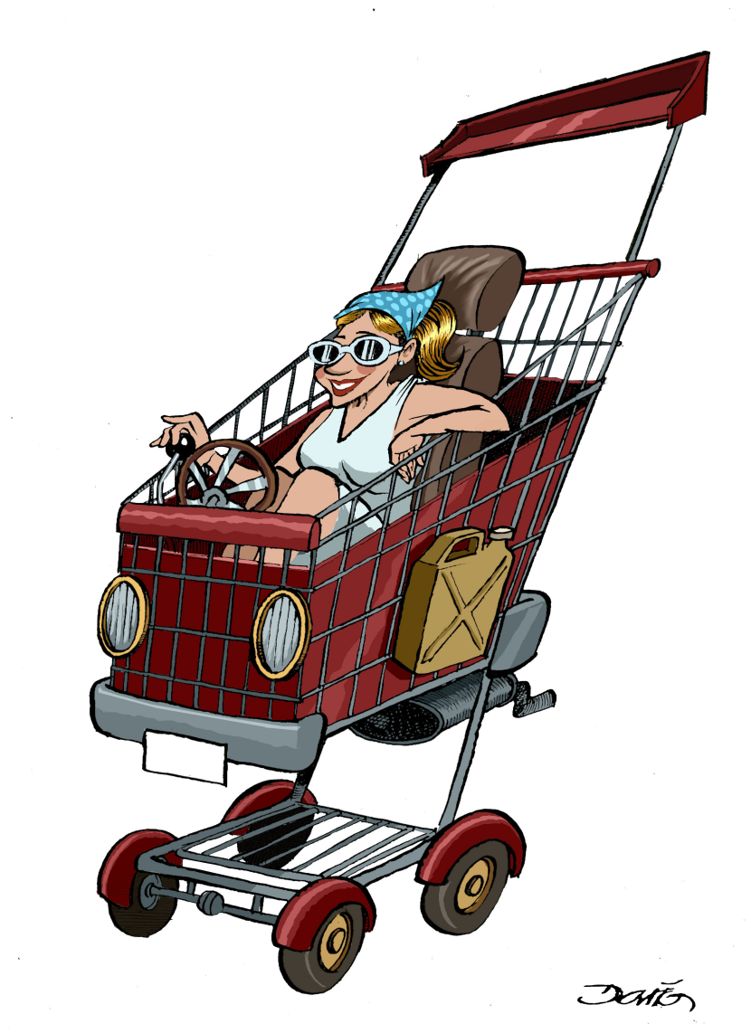 Auto Consumer