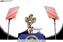 LENTES DE  ROSA /  by Nate Beeler