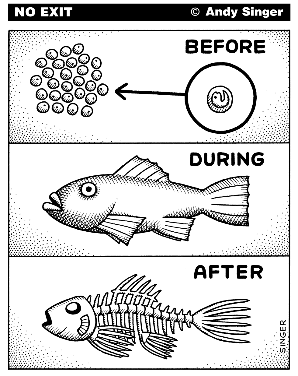 Before During After