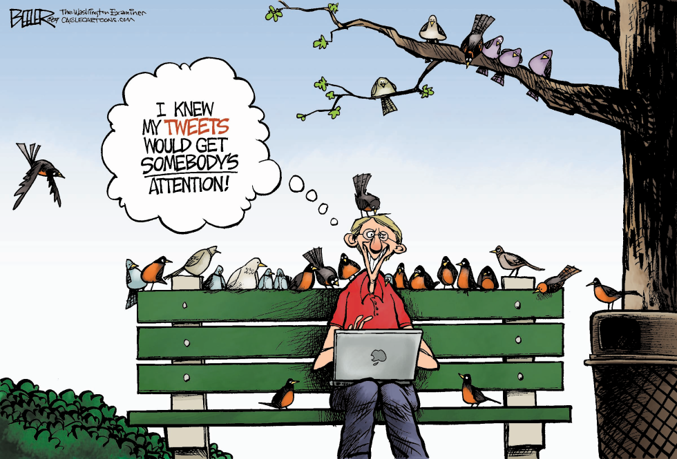Tweet Tweet COLOR