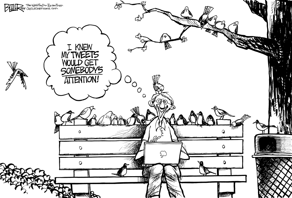 Tweet Tweet