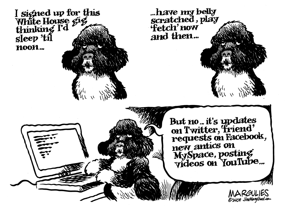 White House dog Bo