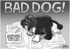 BO OBAMA'S UNPAID TAXES by R.J. Matson