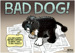 BO OBAMA'S UNPAID TAXES by R.J. Matson