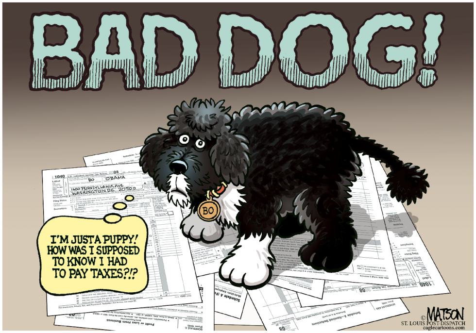 Bo Obama's Unpaid Taxes-COLOR