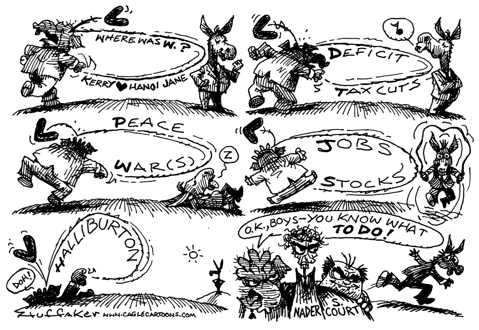 Election Issues