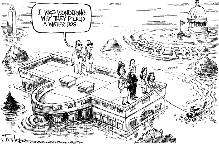 Obamas Dog
