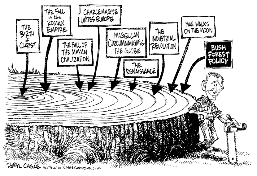 Bush Forest Policy