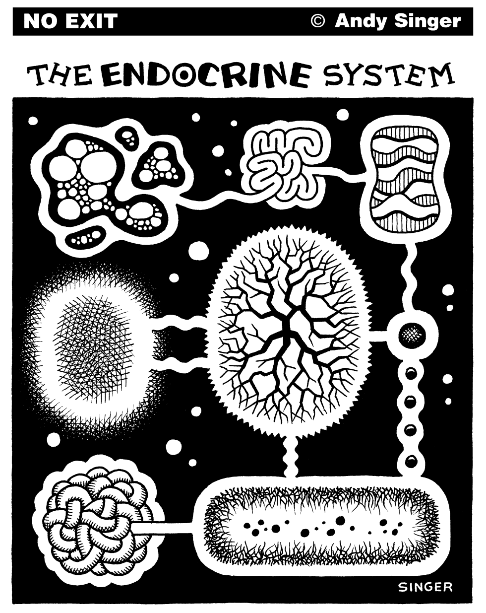 The Endocrine System