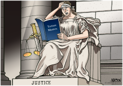 TORTURE MEMOS by R.J. Matson