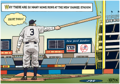 NEW YANKEE STADIUM by R.J. Matson