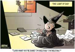 TORTURE POLICY IN THE LIGHT OF DAY by R.J. Matson
