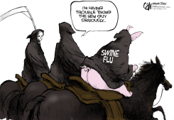 SWINE FLU by Cam Cardow