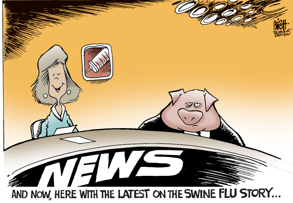 SWINE FLU NEWS, COLOR