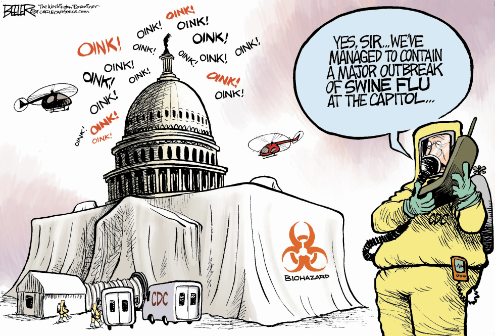Swine Flu in Washington COLOR