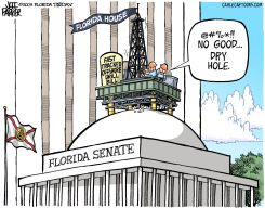 LOCAL FL DRY HOLE SENATE by Jeff Parker