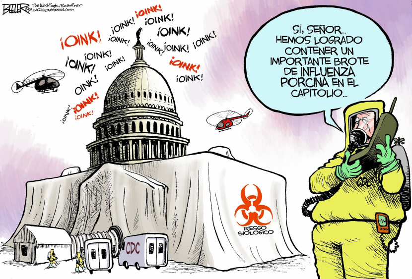 Influenza Porcina en Washington / COLOR