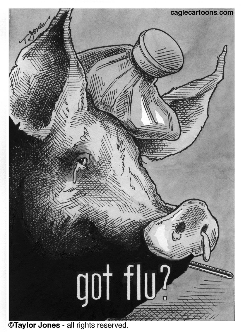 Swine Flu