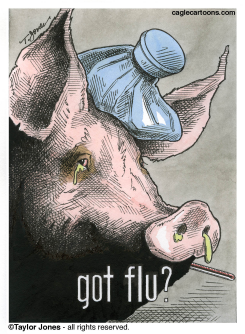SWINE FLU -  by Taylor Jones
