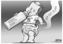 LOCAL MO-FEDERAL STIMULUS FUNDED TAX CUT by R.J. Matson
