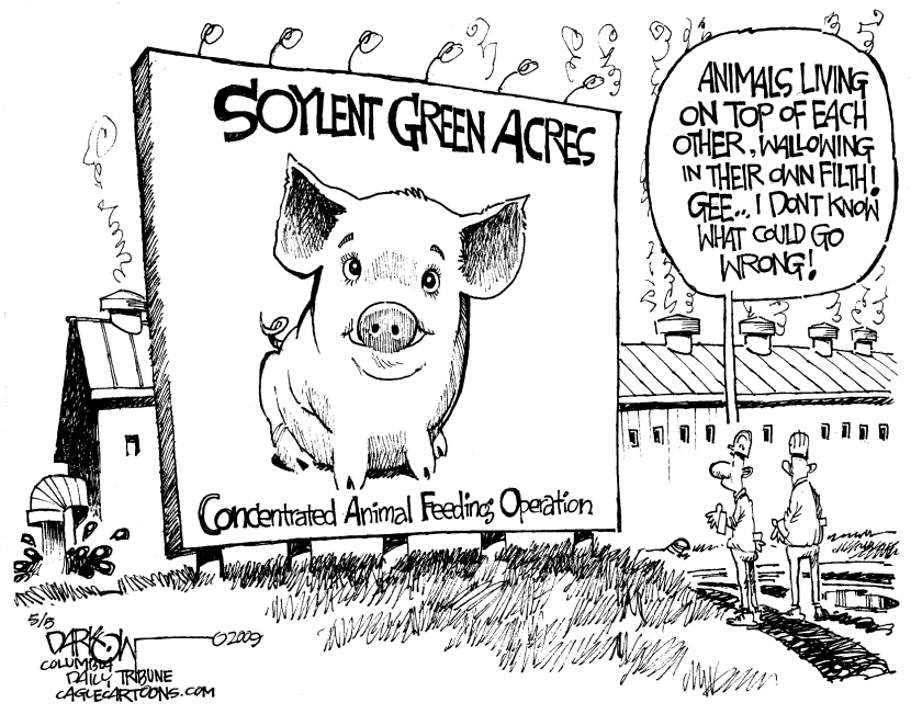 Another Swine Mess