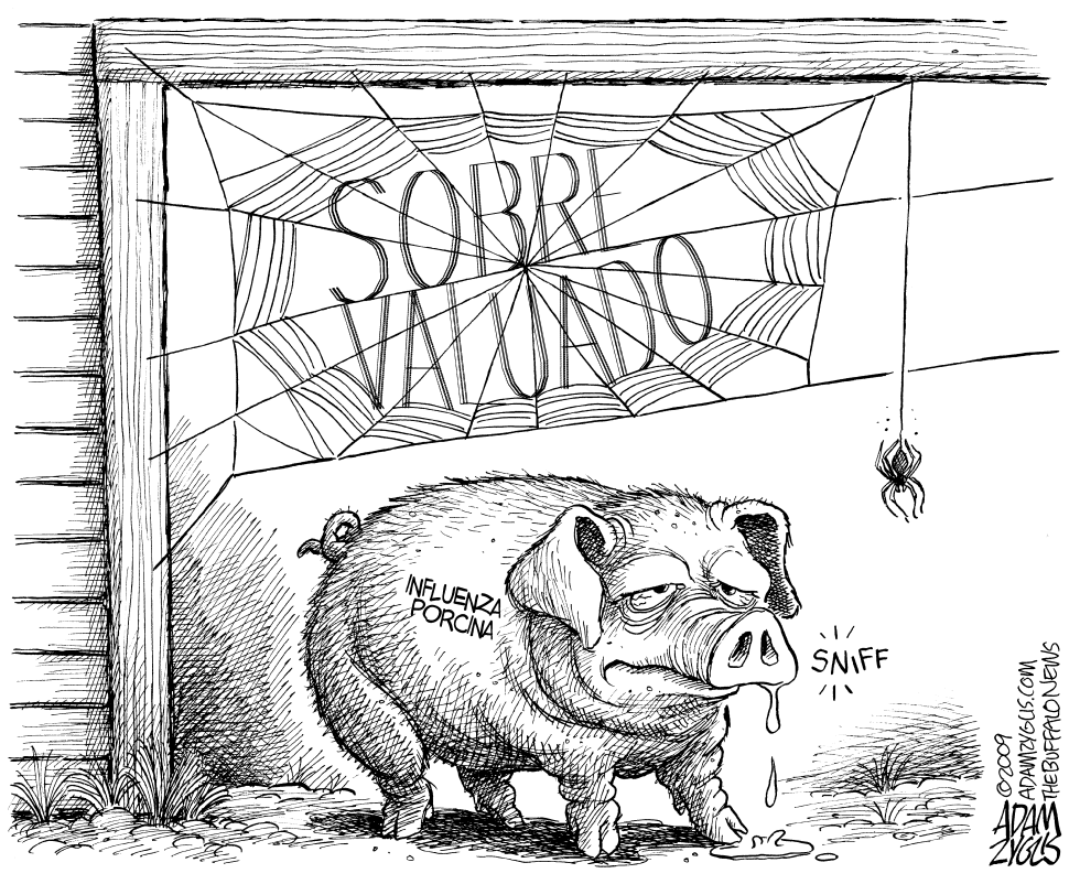 Amenaza de la Influenza Porcina