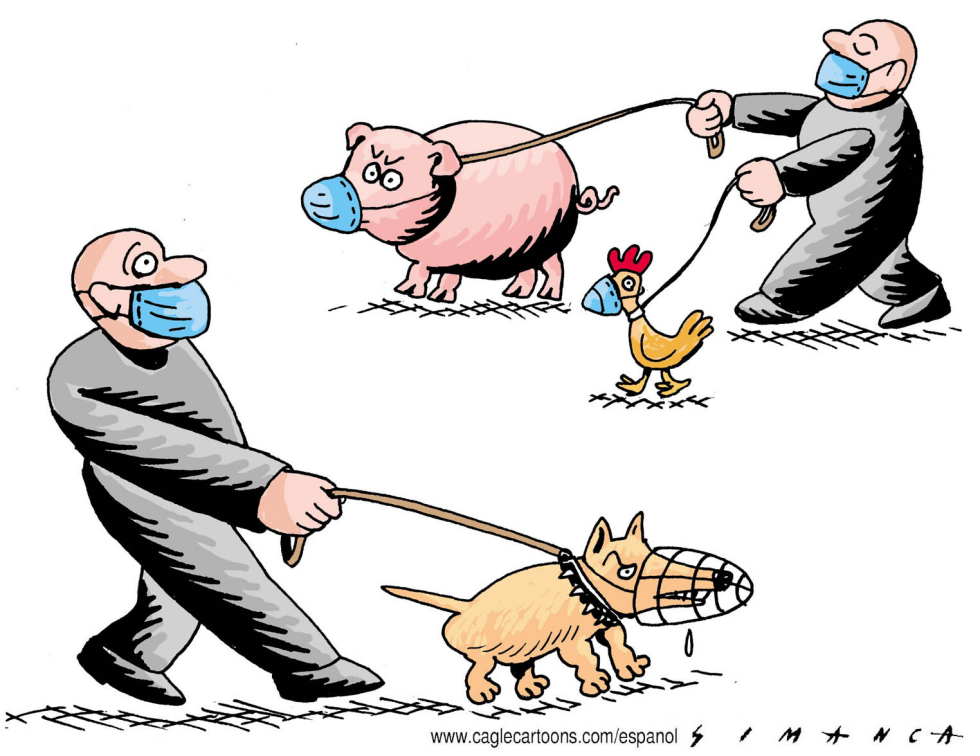 Cuidado con los Animales