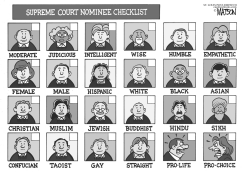 SUPREME COURT NOMINEE CHECKLIST by R.J. Matson