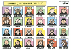SUPREME COURT NOMINEE CHECKLIST by R.J. Matson