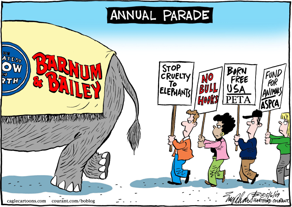 Elephants COLOR