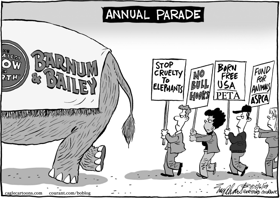 Elephants