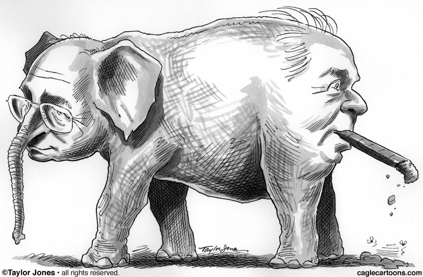 Dick Cheney / Rush Limbaugh