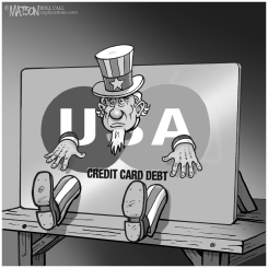CREDIT CARD DEBTOR NATION by R.J. Matson