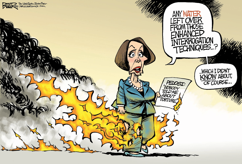 Pelosi Pants on Fire COLOR