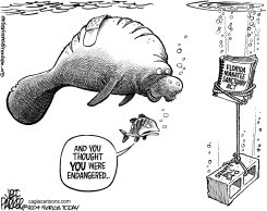 FLORIDA MANATEE ACT by Jeff Parker