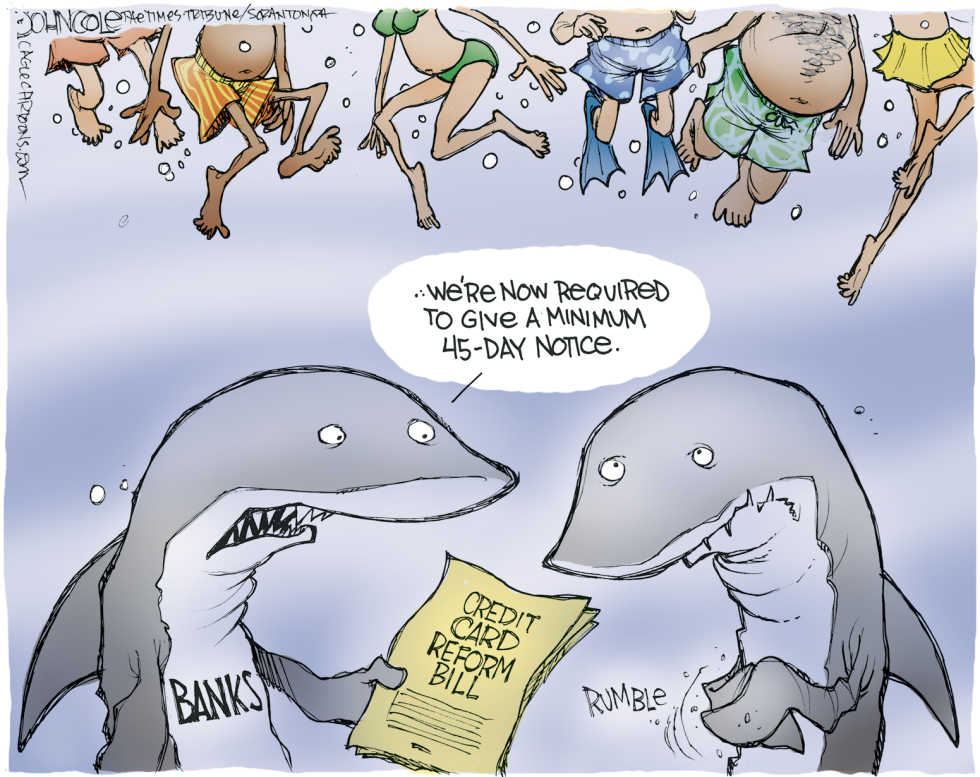 Credit card sharks COLOR